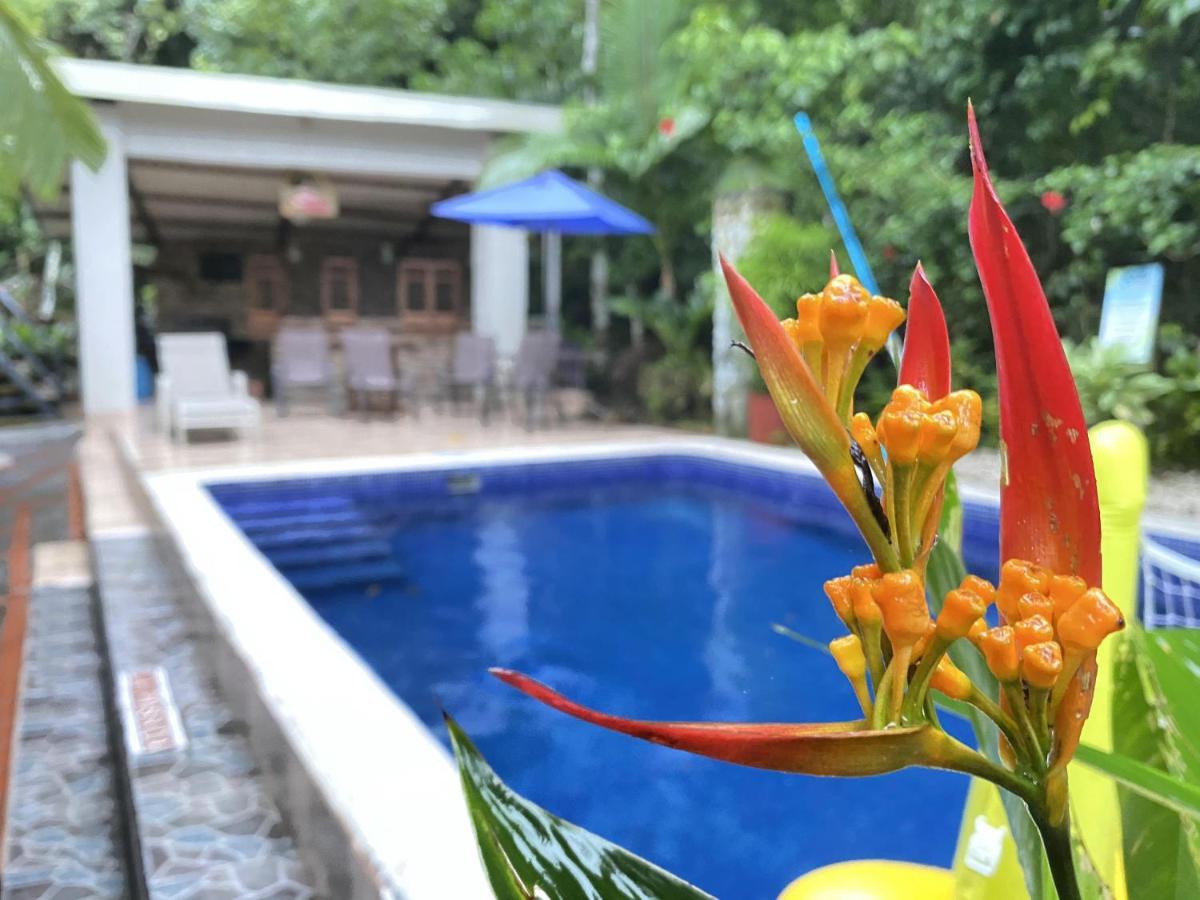 La Posada Jungle Hotel Manuel Antonio Exterior photo