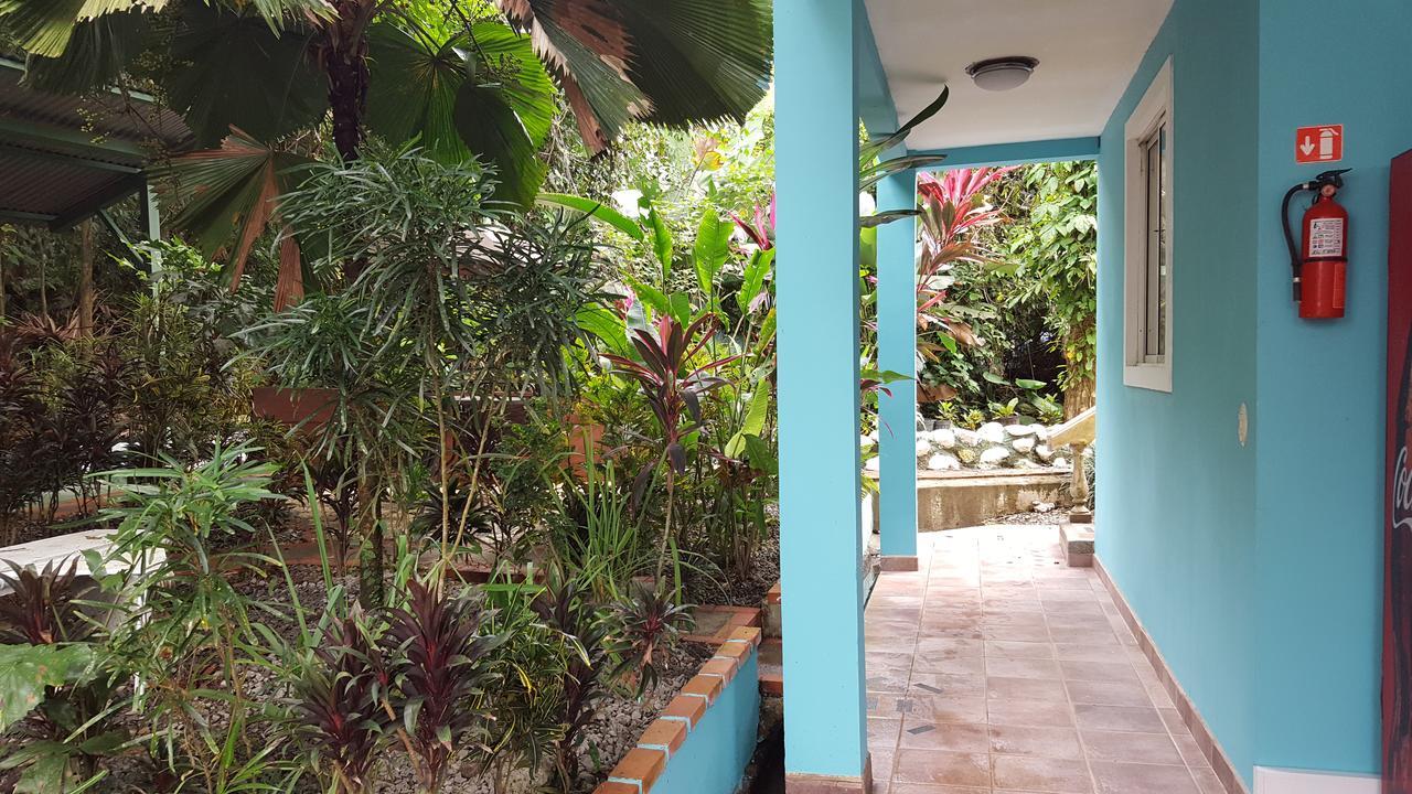 La Posada Jungle Hotel Manuel Antonio Exterior photo
