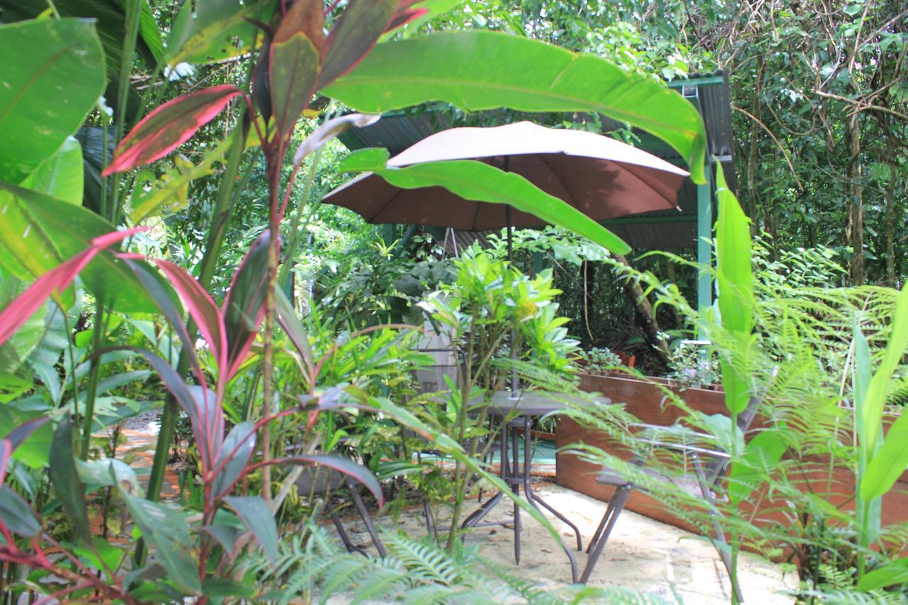 La Posada Jungle Hotel Manuel Antonio Exterior photo